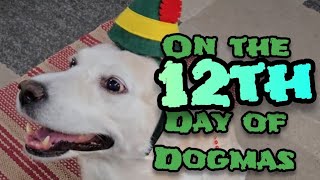 On the 12th Day of Dogmas...! #christmas #dog #shorts