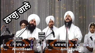 ਲਾਗੁ ਗਲੇ ਸੁਨੁ ਬਿਨਤੀ ਮੇਰੀ ॥੧॥ Laag Gale |Bhai Tavneet Singh Chandigarh Wale