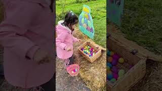 Easter Egg Hunt Fun🐣 #easteregghunt #egghunting #kidsfun #kidsvideo #outdoorfun #kidsfun #shorts