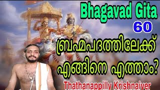 BHAGAVADGITA MALAYALAM  A journey through Gita Part-60#Bhagavad Gita ഭഗവദ്ഗീത- ഗീതയിലൂടെ ഒരു പ്രയാണം