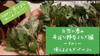 【自然の恵み 身近な野草よもぎ編】 ーその1ー 使えるよもぎペースト