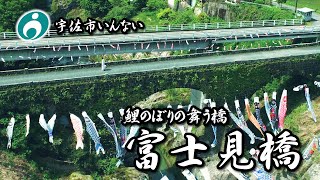 石橋のまち宇佐市　鯉のぼりの舞う橋　富士見橋