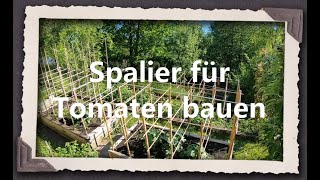 Spalier für Tomaten bauen