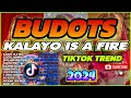 BEST TIKTOK VIRAL BUDOTS 2024💥 KALAYO IS A FIRE . NONSTOP TIKTOK DISCO DANCE 2024. TIKTOK PH REMIX ♪