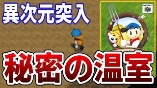 【牧場物語2】最序盤から温室を利用できるようになる裏技【NINTENDO 64 Nintendo Switch Online】