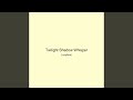 Twilight Shadow Whisper