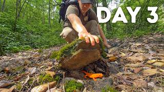 72 Hours Flipping Rocks in Remote Appalachia!