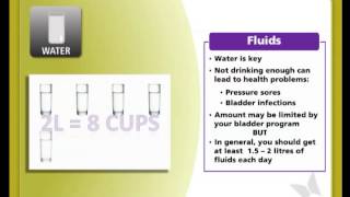 SCI-U: Nutrition - Part 7 (Water, Fluids, Food Groups and the Food Guide)