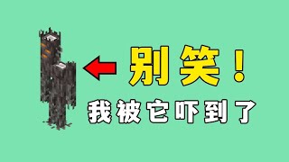 我的世界：別笑，我真被它嚇到了 #minecraft #我的世界 #mc