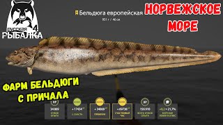 НОРВЕЖСКОЕ МОРЕ, ФАРМ НА БЕЛЬДЮГЕ С БЕРЕГА В РУССКОЙ РЫБАЛКЕ 4 РР4