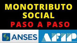 💰 N° 1  Monotributo Social | Requisitos y Condiciones #anses #noticiasanses #tramitesanses