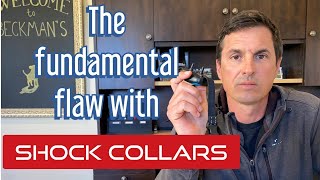 Why you should never use a shock collar for dog on dog aggression