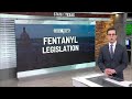 State of Texas - Mom turns heartbreak into action on fentanyl legislation