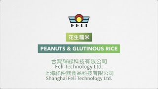 【FELI 輝綠 堅果磨醬機】NBM-200 花生糯米 Grinding peanuts \u0026 glutinous rice(nut butter maker, nut butter grinder)