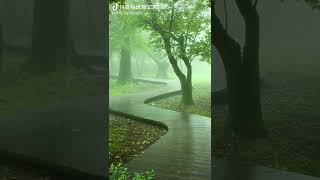 我不喜欢下雨天，但我喜欢下雨的声音。