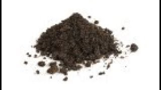 How to Extract DNA from Soil using the Presto™ Soil DNA Extraction Kit