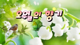 🌳오월의 향기🌳싱그러운 5月🌳