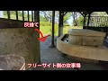 【キャンプ場紹介】ゆるキャンで人気のだるま山高原キャンプ場