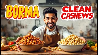 Choosing Between Borma and Clean Cashews? Here’s What to Know | Galaxy Commercial