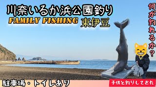 川奈いるか浜公園釣り【ファミリー釣り10】【静岡県】