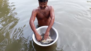 গভীর পুকুরে ডুব দিয়ে মাছ ধরা দেখুন