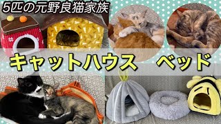 寒さ対策【キャットハウス.ベッド】を猫たちにプレゼント