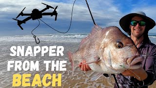 Catching Snapper off the Beach | Drone Fishing