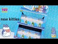 Lost Kitties Palooza Series 1 More New Kitties Blind Bag Toy Review | PSToyReviews