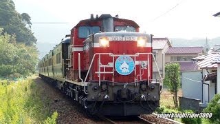 JR西日本 DD51 1193号機+サロンカーなにわ7B(萩･長門号･HM掲出) 長門粟野→伊上 2013.10