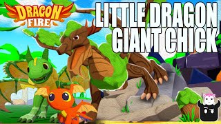 Little Dragon Giant Chick 🐤 - First look - Dragon Fire (Beta) - Roblox