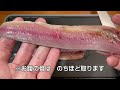 料理人が教える！４８種類の魚種にいます！いろんな魚のアニサキス対策に有効です！【秋の味覚！秋刀魚の刺身の作り方！】塩焼きの秋刀魚も美味しいけど、脂がのった 秋刀魚の刺身を堪能のしかた！