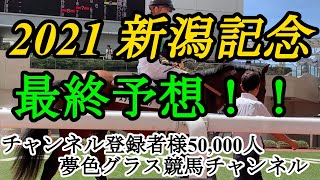 【最終予想】2021新潟記念！軽斤量魅力！長く末脚使えるこの馬へ！