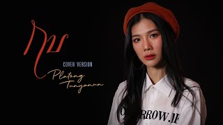 กบ | หวิว | Cover by Platong tunyanun | Live