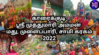 காரைக்குடி ஸ்ரீ முத்துமாரி அம்மன் மது, முளைப்பாரி, சாமி கரகம் 2022