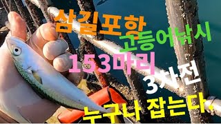 삼길포 고등어 낚시 100마리 잡기..