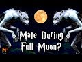 What if Two Werewolves Mated During the Full Moon? (CANON): Harry Potter Explained