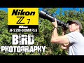 Nikon Z7 Bird Photography Using The Nikon AF-S 200-500mm + FTZII