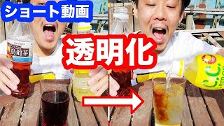 ウーロン茶とCCレモン混ぜると透明になる？！検証してみた！ #Shorts