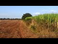 bidar chidguppa nirna humnabad 16 acres red soil properti 17 laks par acre cnt 8466960032