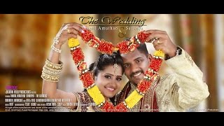 Colorful Hindu Wedding Highlight of Thamil \u0026 Saranya by Digimax Video Productions