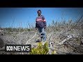 The Top End at the frontline of Australia’s most severe climate change, scientists warn | ABC News