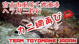 【ヘラガニ釣り】宮古市重茂千鶏漁港 ヘラガニ釣行