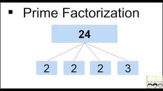 C Practical and Assignment Programs-Prime Factorization