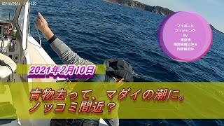 青物去って、マダイの潮に。ノッコミ間近？～マイボートで南房総館山湾＆内房保田沖のマダイ釣り【東京湾でマイボートフィッシング】