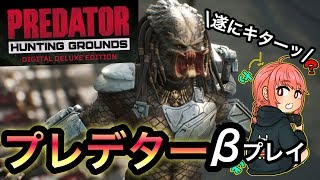 【Predator: Hunting Grounds】プレデターβ遊んでみるよ！皆はプレイしたかな？【プレデター】【生配信】