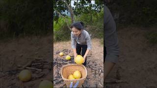 Pomelo fruit harvesting from farm #shorts #ytshorts #farming