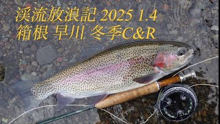 渓流放浪記 2025 1.4 箱根 早川冬季C\u0026R