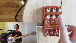 Chase Bliss Audio Warped Vinyl HiFi - Bass Demo