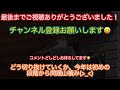 121話 野良ツバメスター・フラメンコスタジオ巣② ヤバイ！奴に目をつけられた・ツバメ巣台type3　 つばめ swallow ツバメ巣