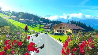 4K Switzerland beatenberg 瑞士英特拉肯的後山上，宛如高爾夫球場的高山牧場，雖然是山高路陡，卻是景色迷人，湖光山色，令人心醉。----  行駛在高山牧場 -貝阿藤貝格